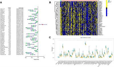 Prognostic N6-methyladenosine (m6A)-related lncRNA patterns to aid therapy in pancreatic ductal adenocarcinoma